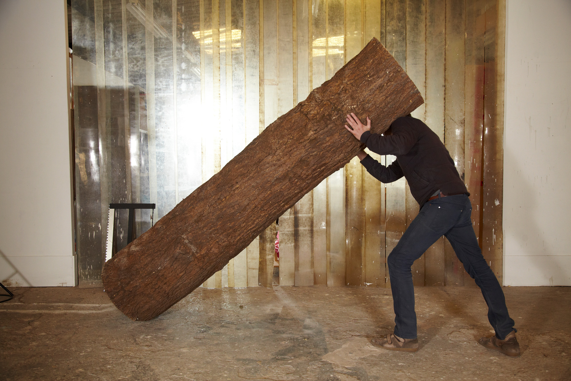 Un homme en sweat sombre et jean, de profil, redresse à bout de bras un tronc d'arbre entier, écorce brune et brute, presque aussi haut que lui ; le tronc est appuyé en diagonale contre son épaule et sa tête, qu'il masque entièrement. Derrière, un rideau de lanières de PVC doré traversé par la lumière de l'atelier ; au sol, une dalle de béton usée.