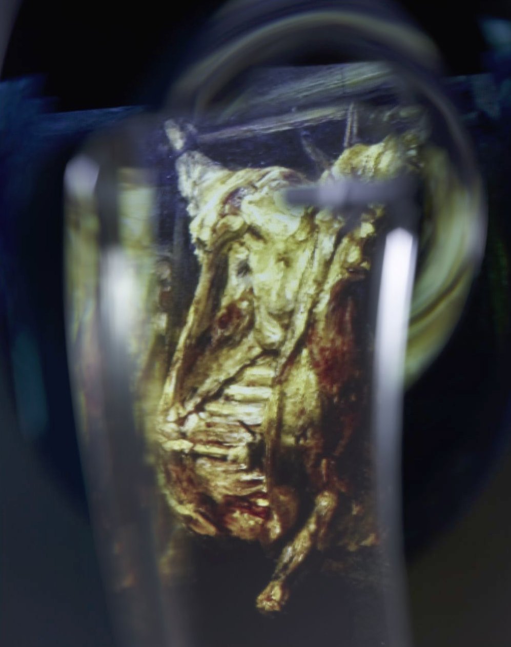 Le Bœuf écorché de Rembrandt, reflet déformé dans le verre biseauté